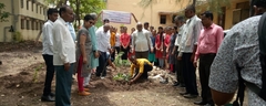 Tree plantation (1)