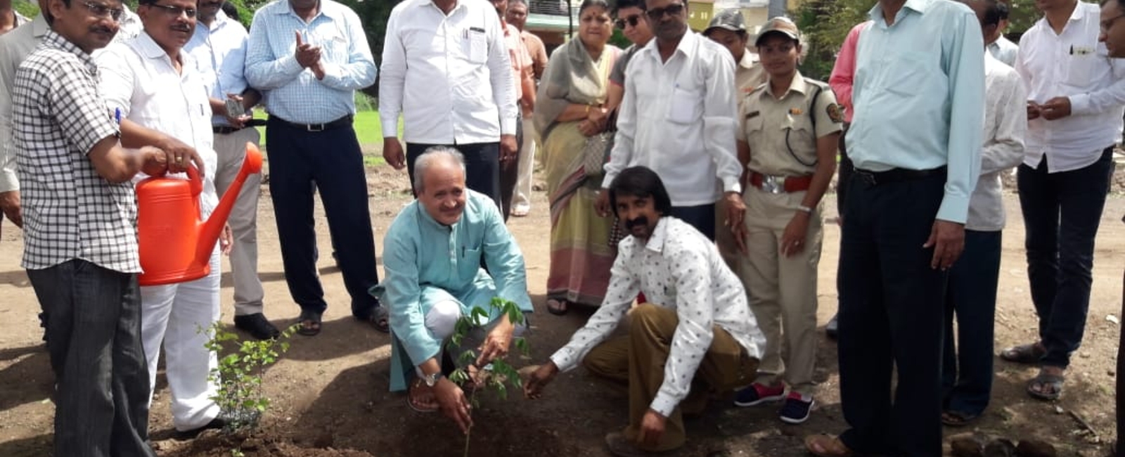 Tree plantation (2)